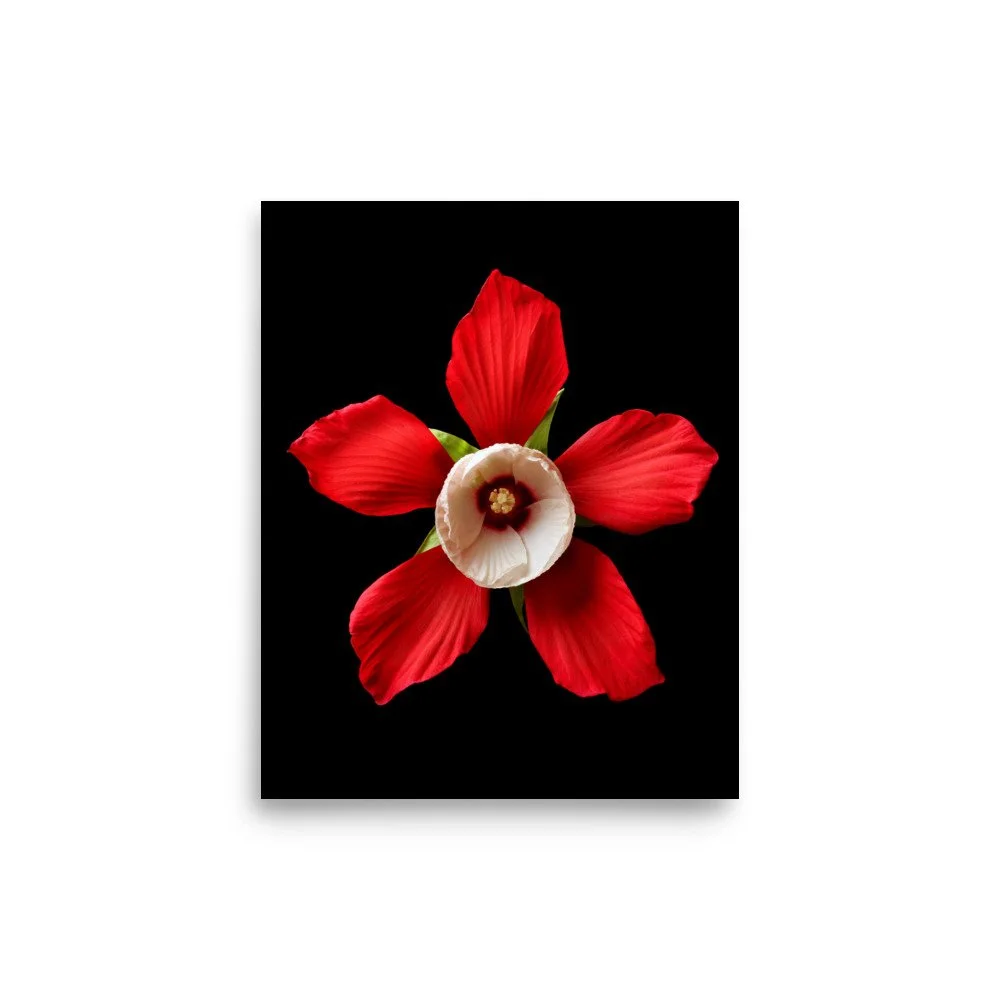 enhanced-matte-paper-poster-(in)-8x10-front-6a7f5c0c5db3d.jpg