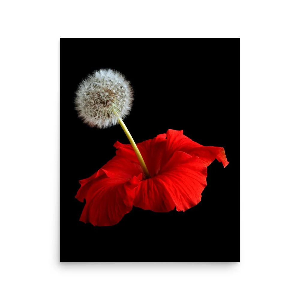 enhanced-matte-paper-poster-(in)-16x20-front-6a7f6041b23e8.jpg