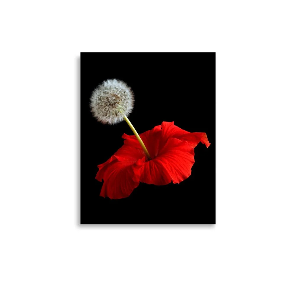enhanced-matte-paper-poster-(in)-11x14-front-6a7f6041b3166.jpg