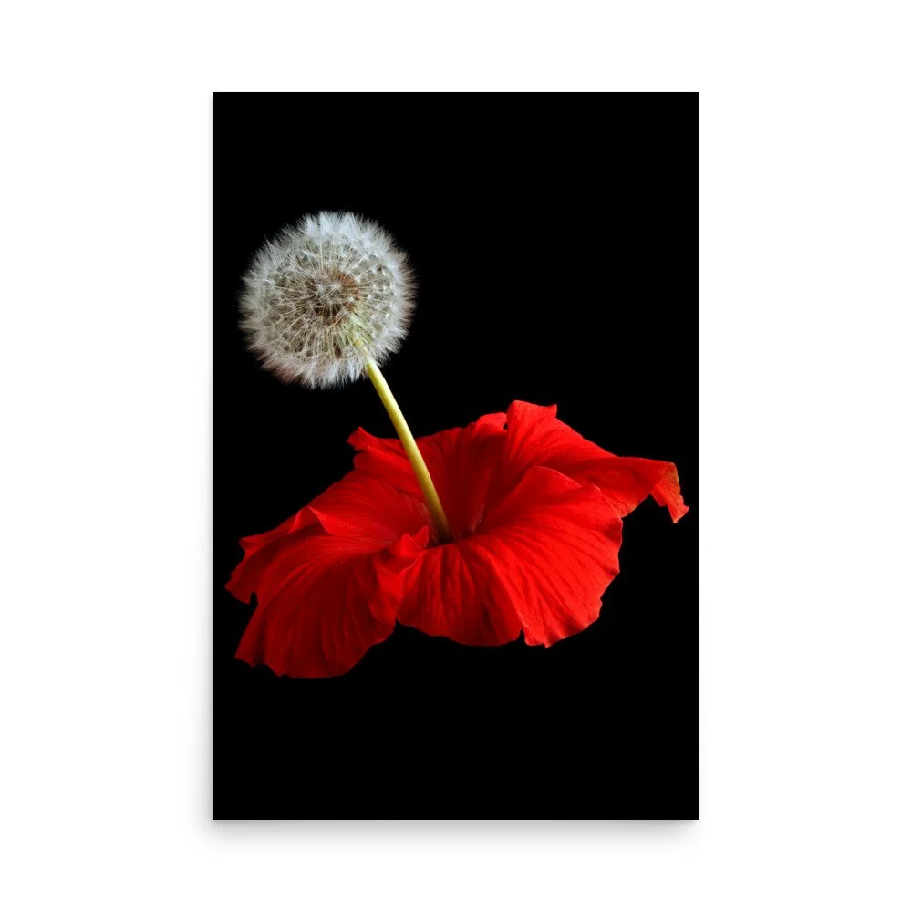 enhanced-matte-paper-poster-(in)-24x36-front-6a7f6041b31e8.jpg