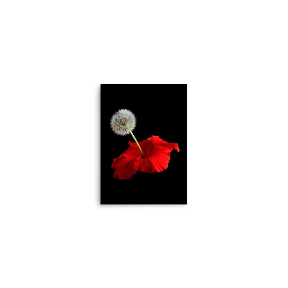 enhanced-matte-paper-poster-(in)-5x7-front-6a7f6041b324a.jpg