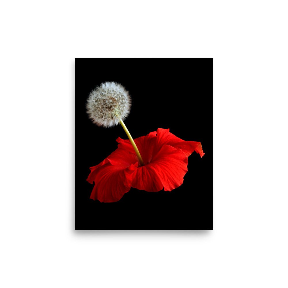 enhanced-matte-paper-poster-(in)-8x10-front-6a7f6041b327e.jpg