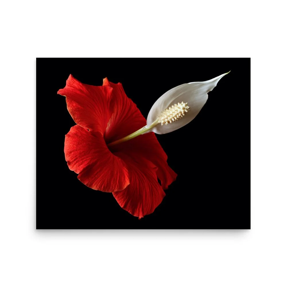 enhanced-matte-paper-poster-(in)-16x20-front-6a7f780ebde93.jpg