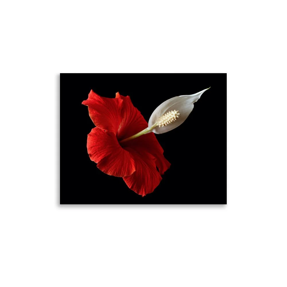 enhanced-matte-paper-poster-(in)-11x14-front-6a7f780ebed39.jpg