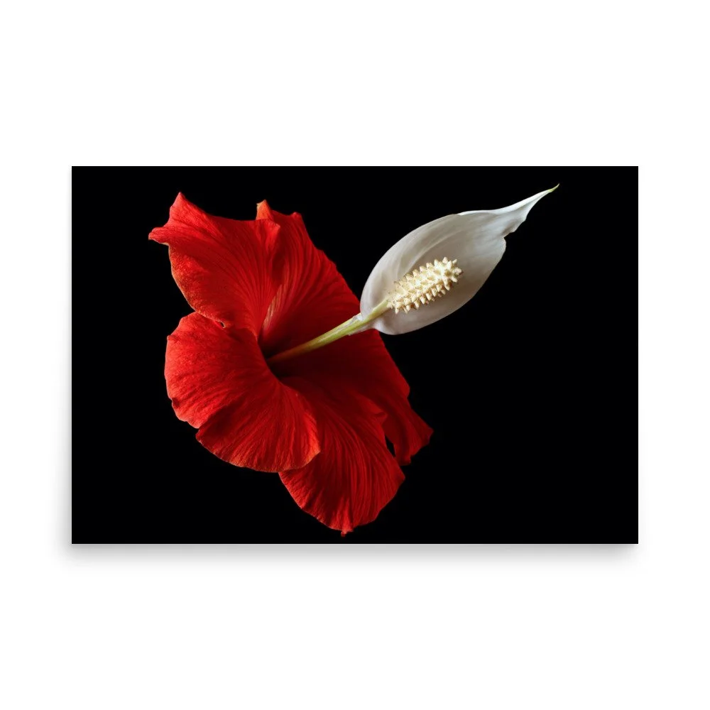 enhanced-matte-paper-poster-(in)-24x36-front-6a7f780ebeddb.jpg