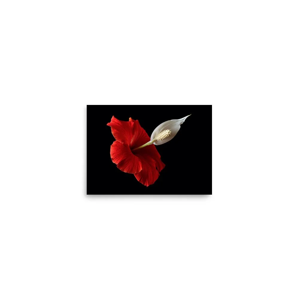 enhanced-matte-paper-poster-(in)-5x7-front-6a7f780ebee44.jpg
