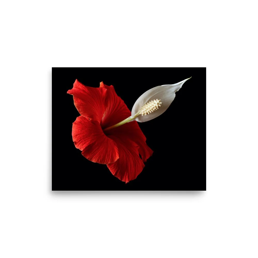 enhanced-matte-paper-poster-(in)-8x10-front-6a7f780ebee88.jpg