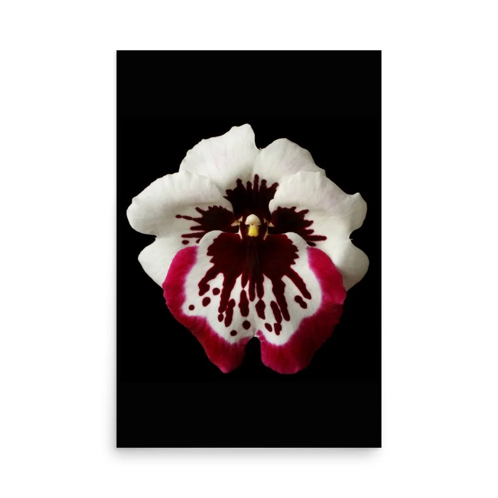 enhanced-matte-paper-poster-(in)-24x36-front-6a7ff0f7a5c44.jpg