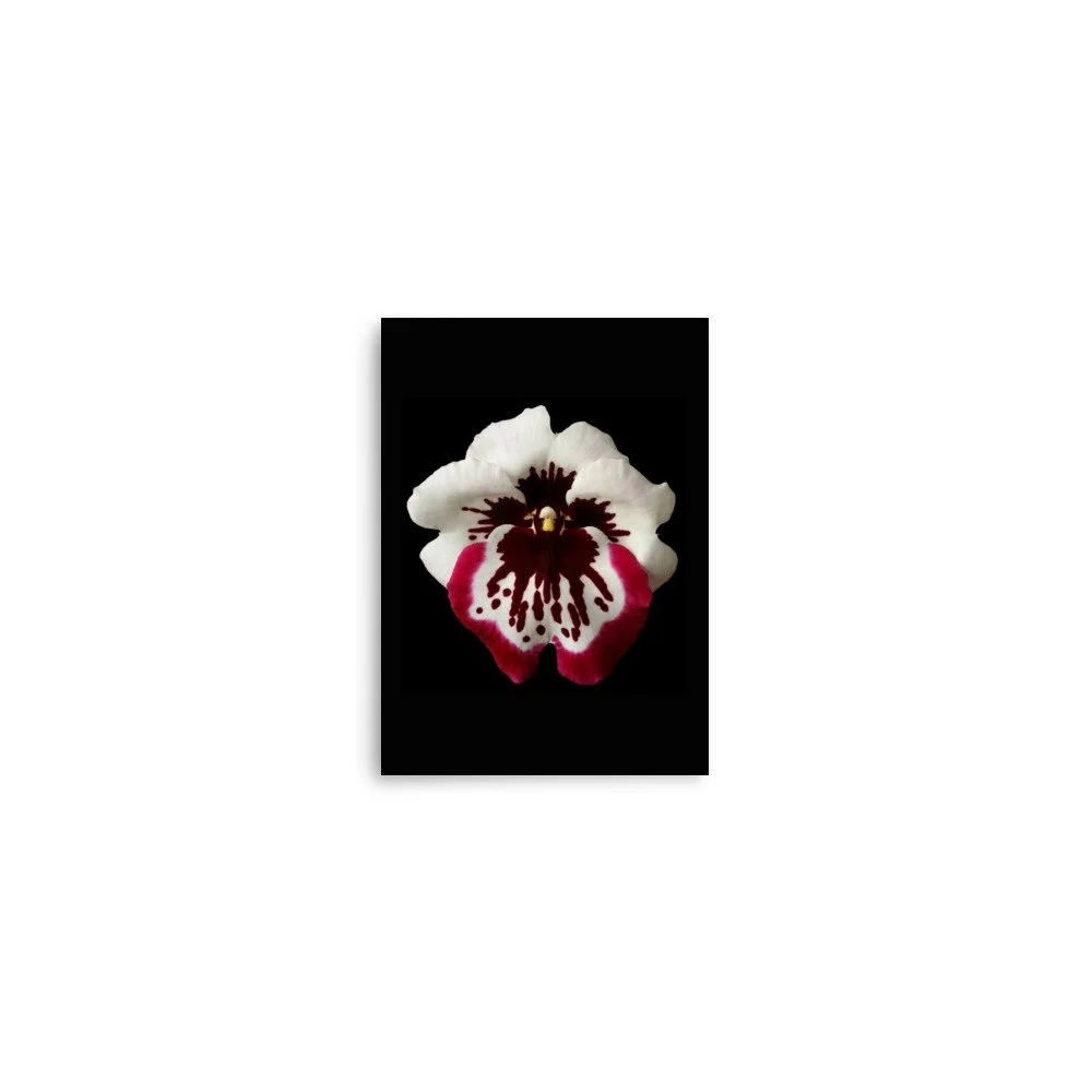 enhanced-matte-paper-poster-(in)-5x7-front-6a7ff0f7a5ca6.jpg