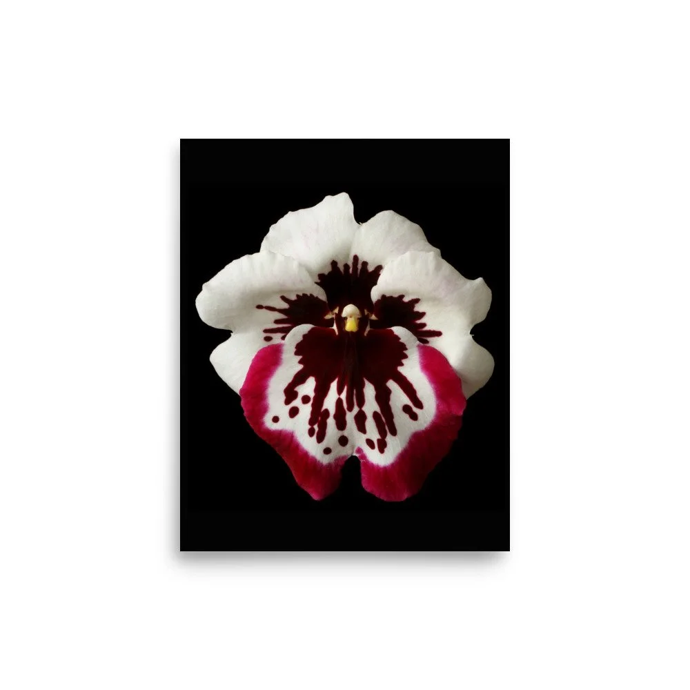 enhanced-matte-paper-poster-(in)-8x10-front-6a7ff0f7a5cdd.jpg