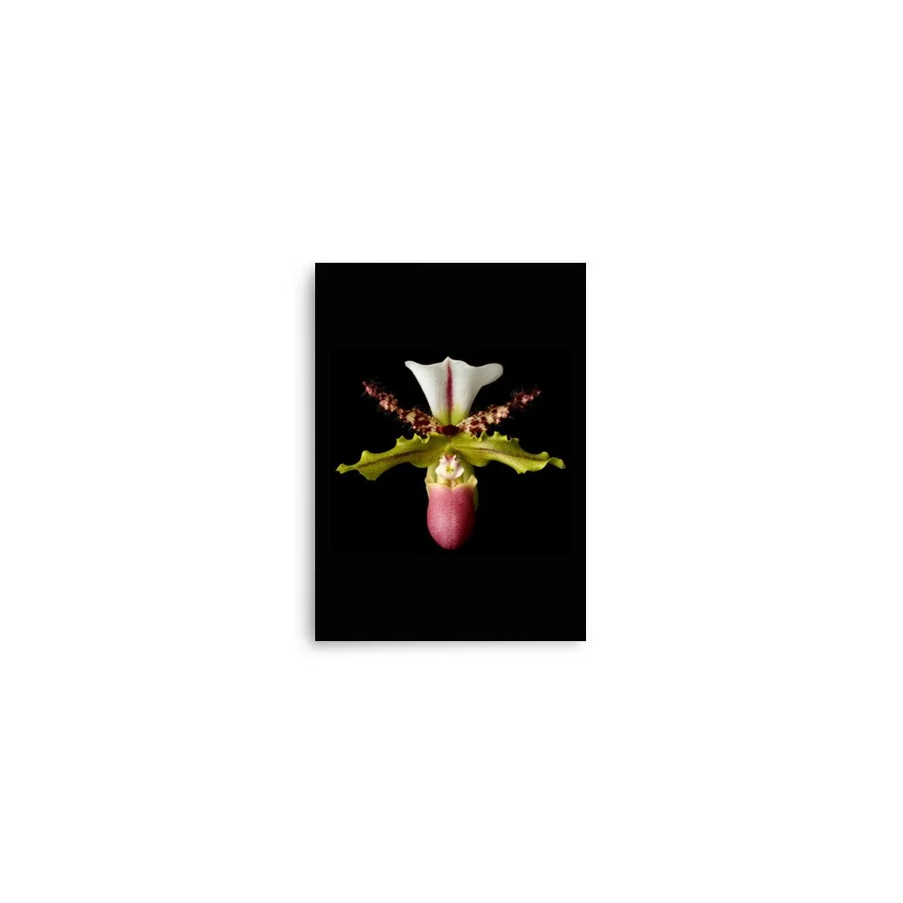 enhanced-matte-paper-poster-(in)-5x7-front-6a8072ff10ba9.jpg