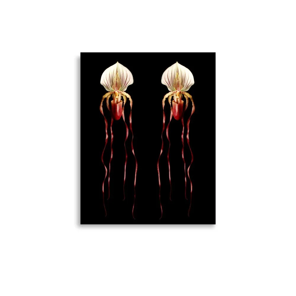 enhanced-matte-paper-poster-(in)-11x14-front-6a80ac4b7ad28.jpg
