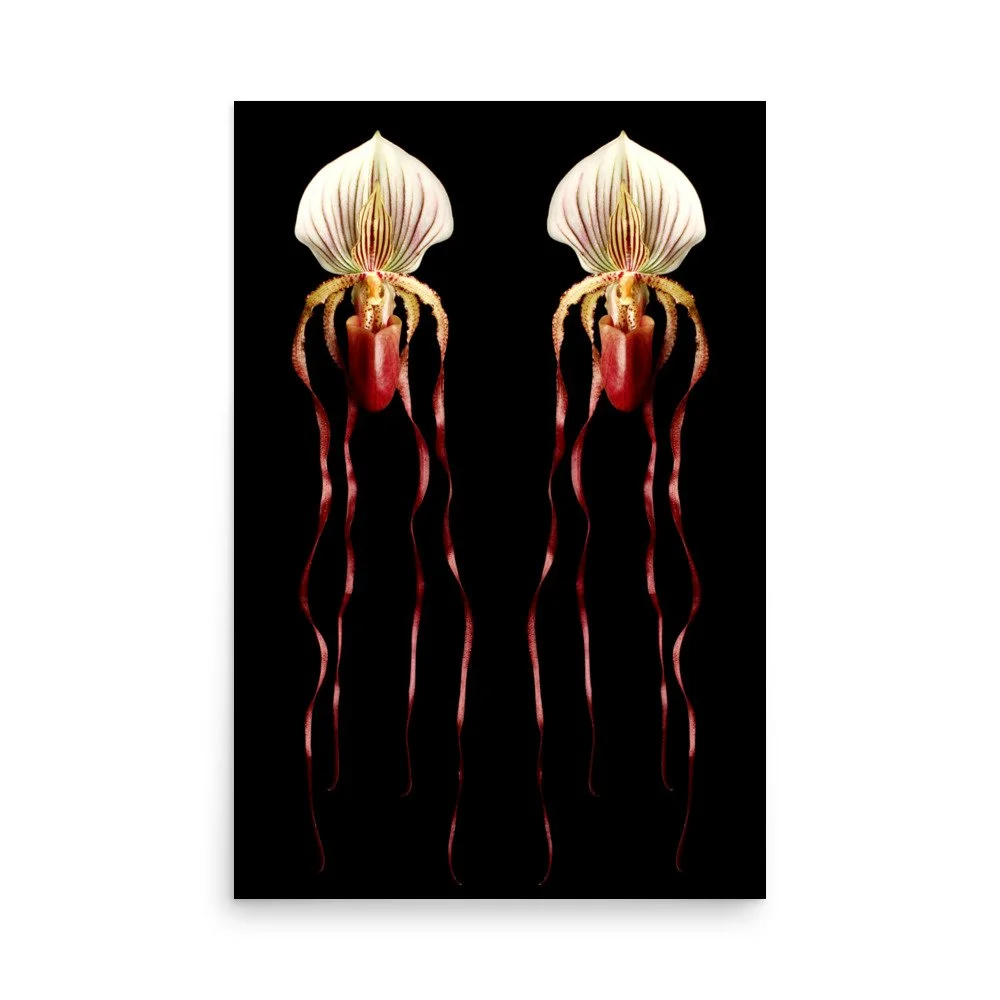 enhanced-matte-paper-poster-(in)-24x36-front-6a80ac4b7adaa.jpg
