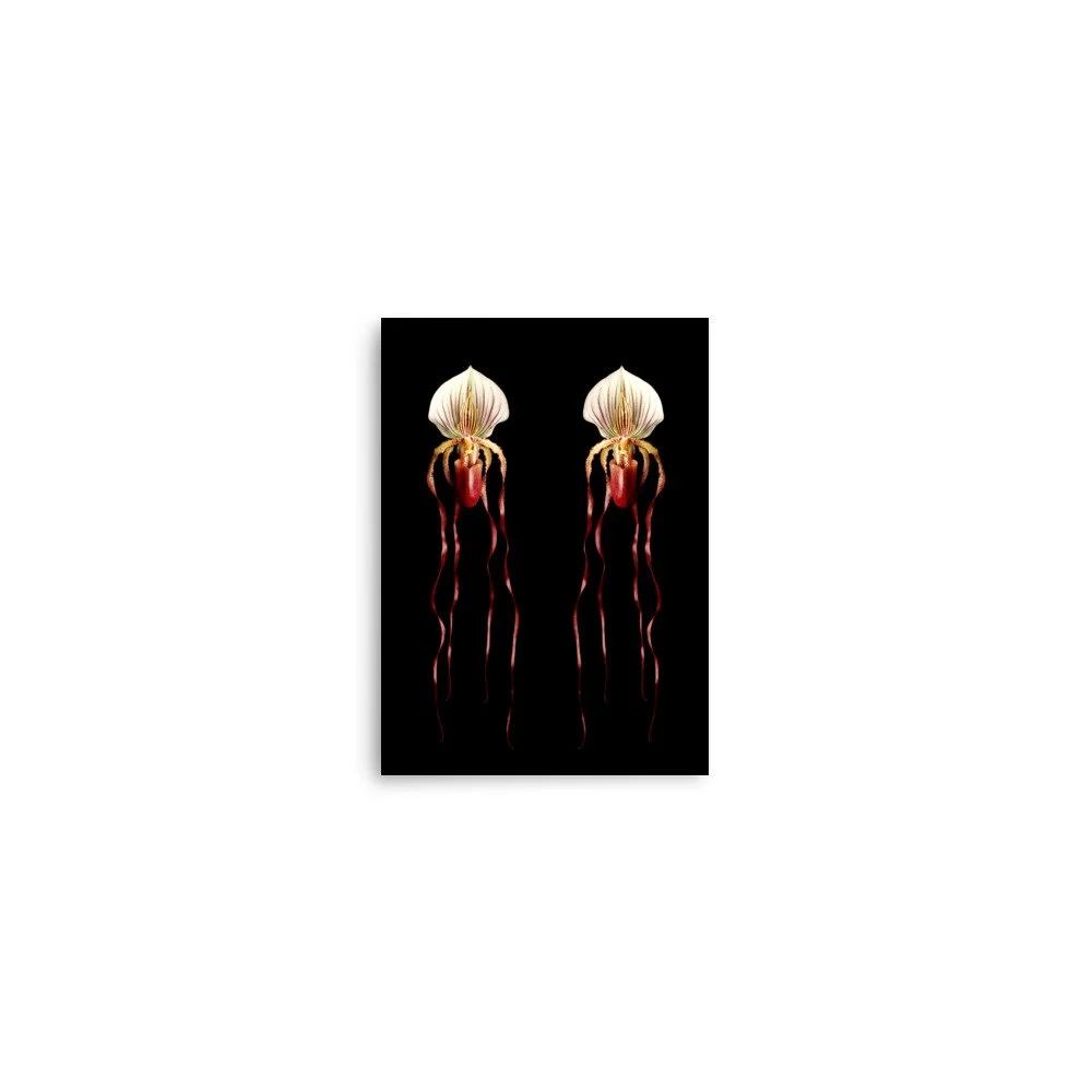 enhanced-matte-paper-poster-(in)-5x7-front-6a80ac4b7ae0c.jpg