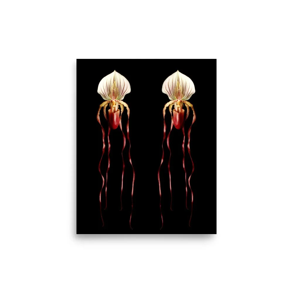 enhanced-matte-paper-poster-(in)-8x10-front-6a80ac4b7ae4a.jpg