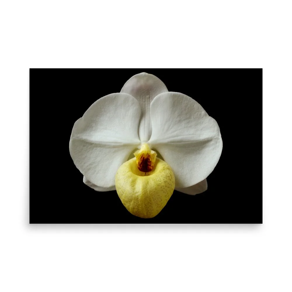 enhanced-matte-paper-poster-(in)-24x36-front-6a81d41d2dfcf.jpg