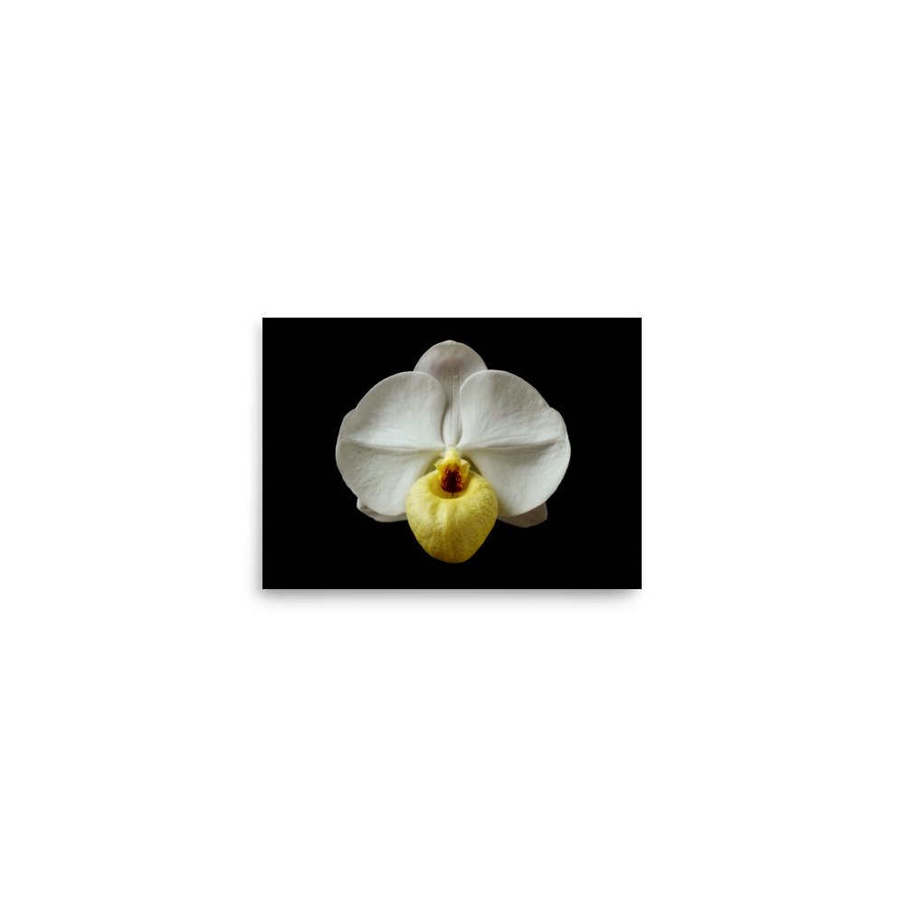 enhanced-matte-paper-poster-(in)-5x7-front-6a81d41d2e055.jpg