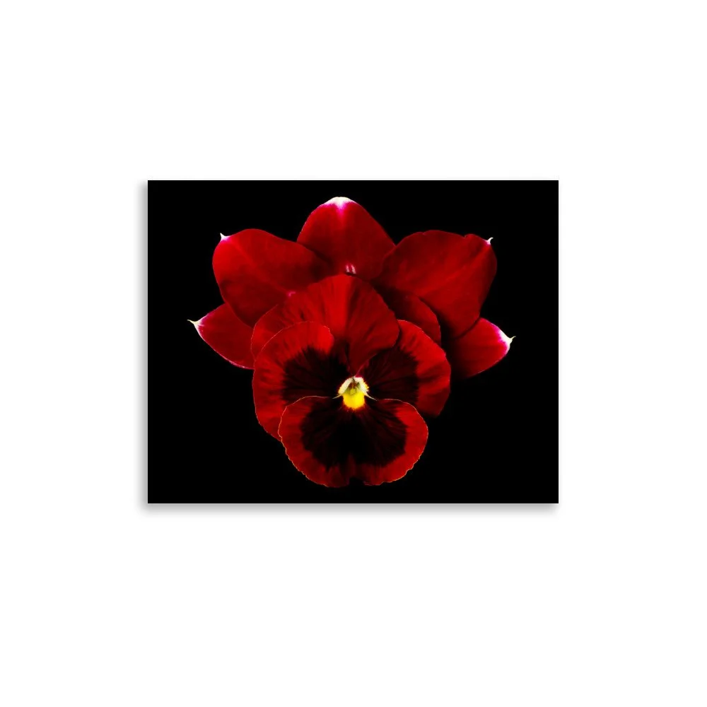 enhanced-matte-paper-poster-(in)-11x14-front-6a81d963bab61.jpg