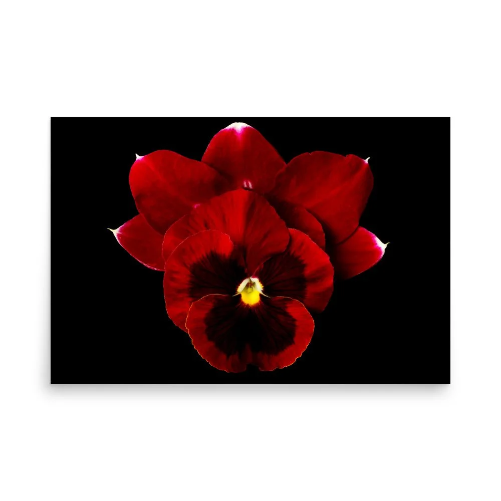 enhanced-matte-paper-poster-(in)-24x36-front-6a81d963bac31.jpg