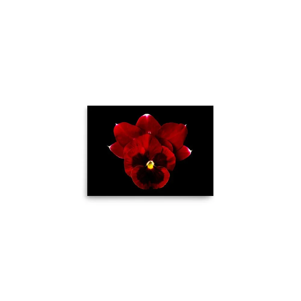 enhanced-matte-paper-poster-(in)-5x7-front-6a81d963bacda.jpg