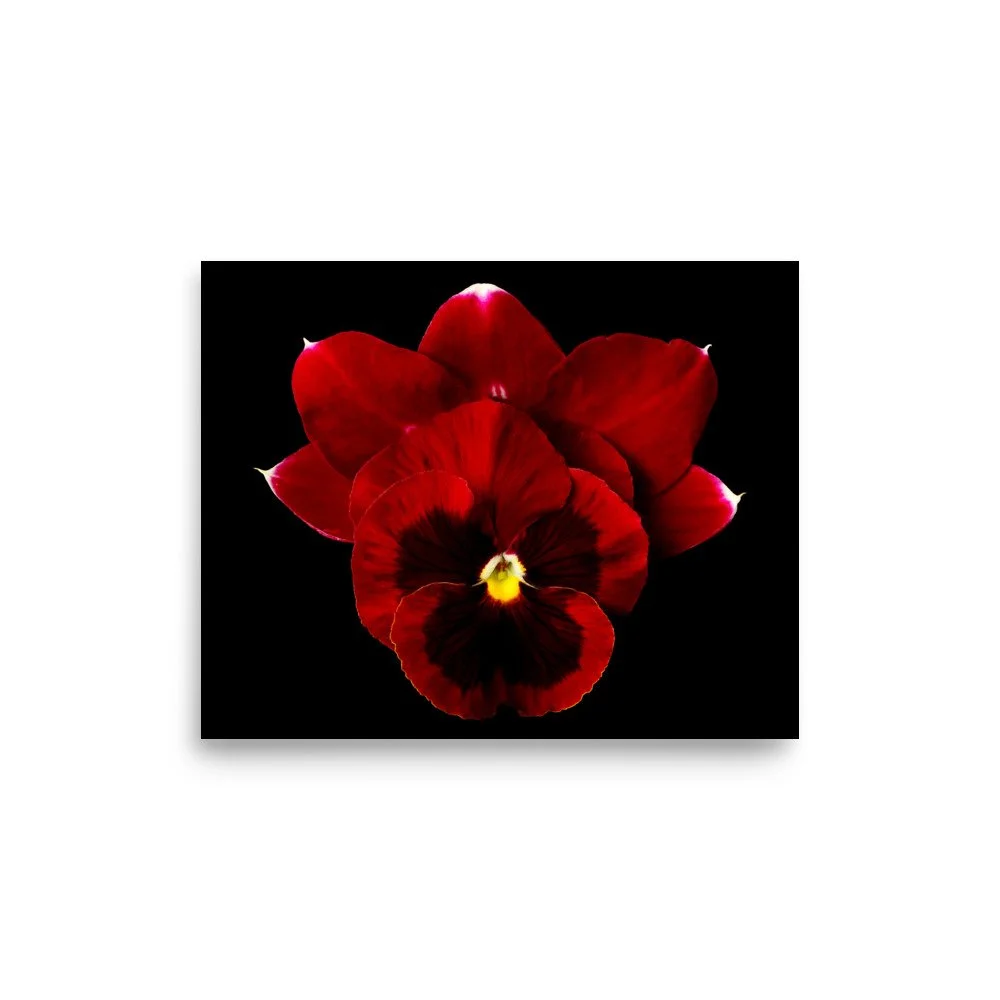 enhanced-matte-paper-poster-(in)-8x10-front-6a81d963bad3d.jpg