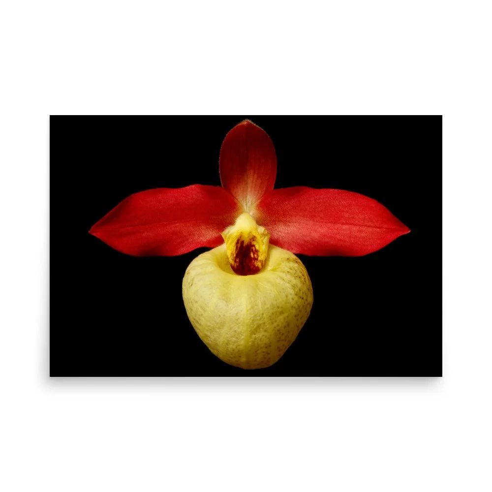 enhanced-matte-paper-poster-(in)-24x36-front-6a81e73b36a61.jpg