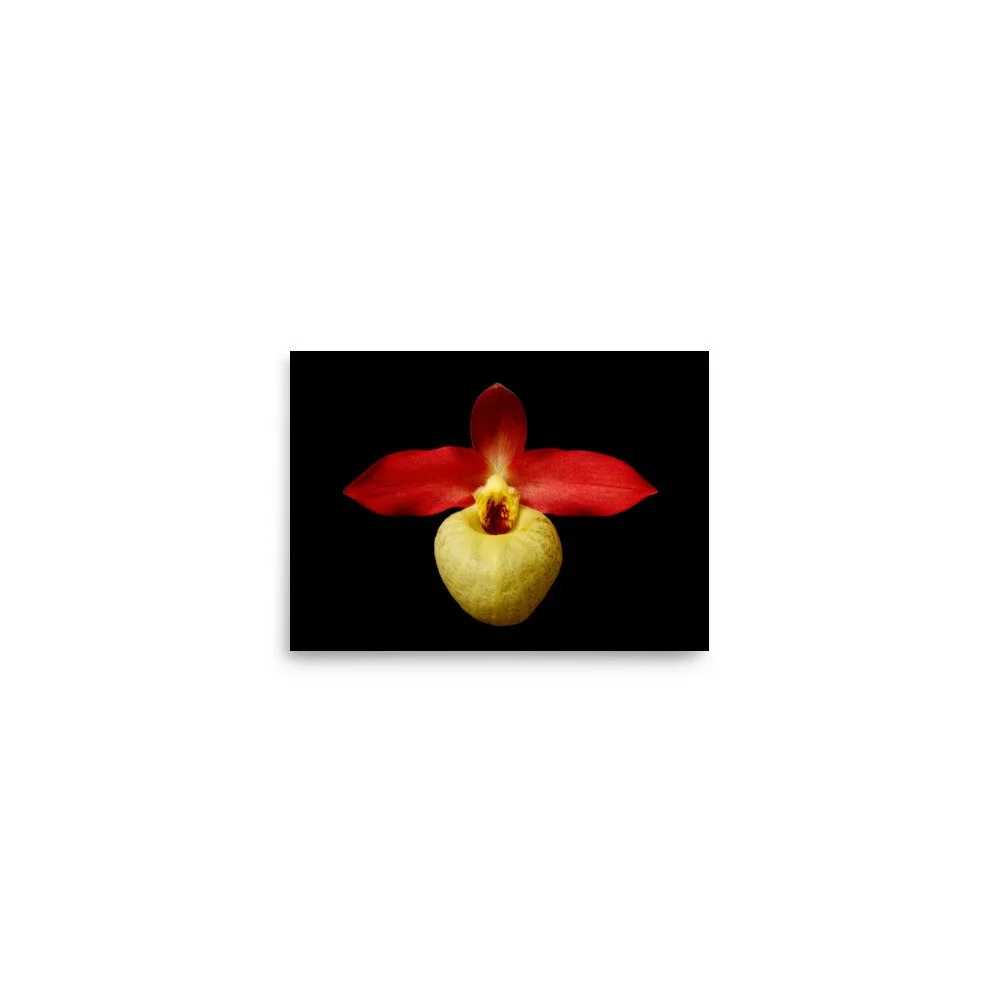 enhanced-matte-paper-poster-(in)-5x7-front-6a81e73b36adc.jpg