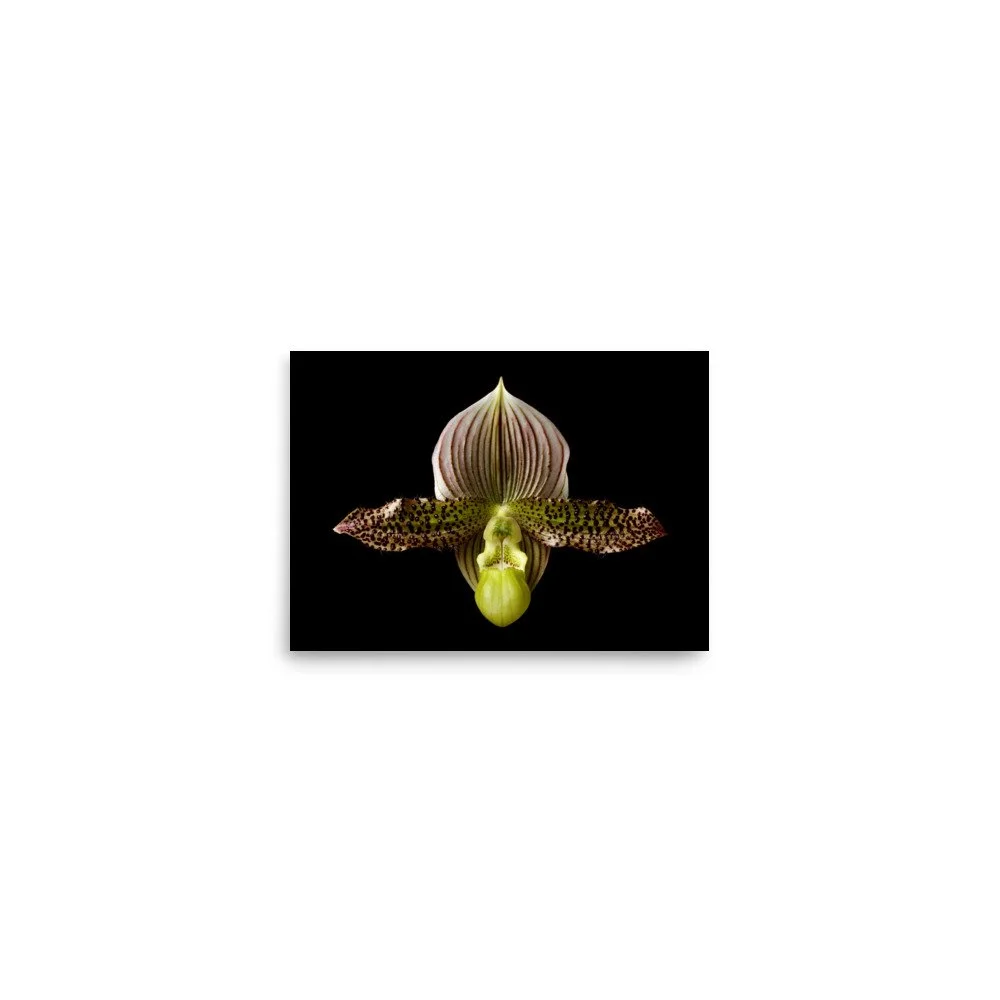enhanced-matte-paper-poster-(in)-5x7-front-6a81f179471c7.jpg
