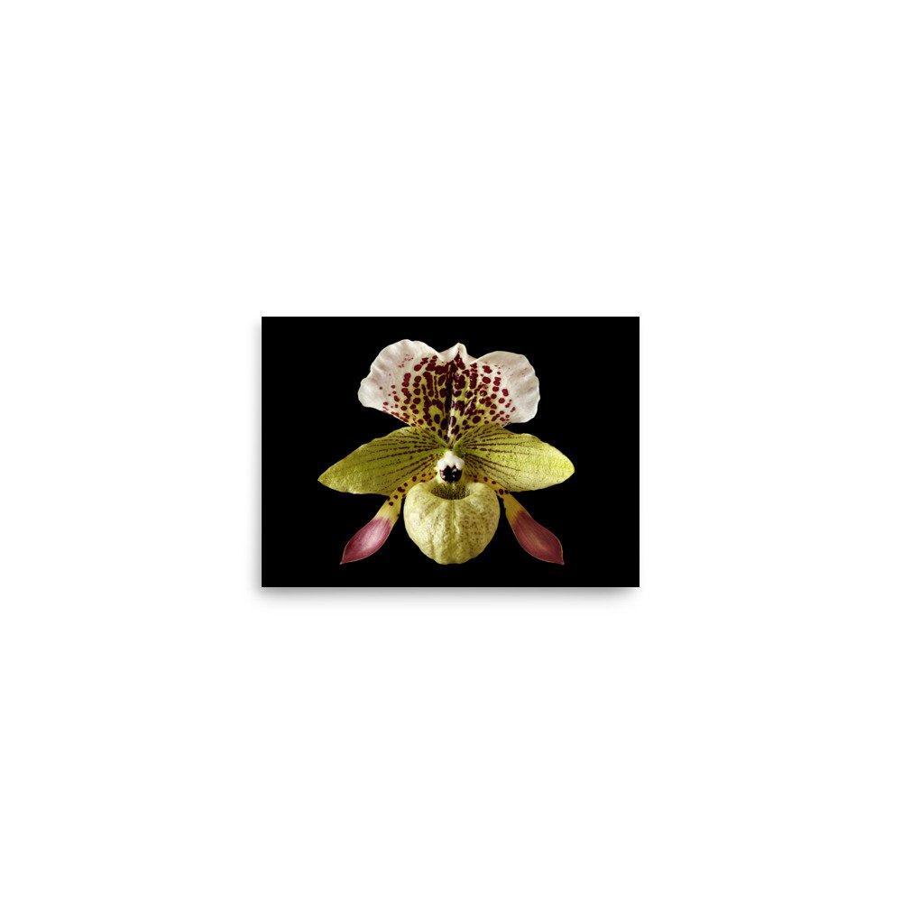 enhanced-matte-paper-poster-(in)-5x7-front-6a81f380a35f0.jpg
