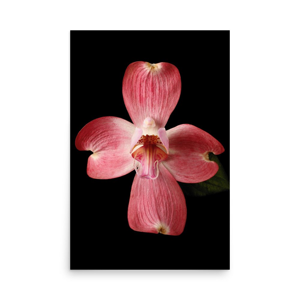 enhanced-matte-paper-poster-(in)-24x36-front-6a8207854256b.jpg