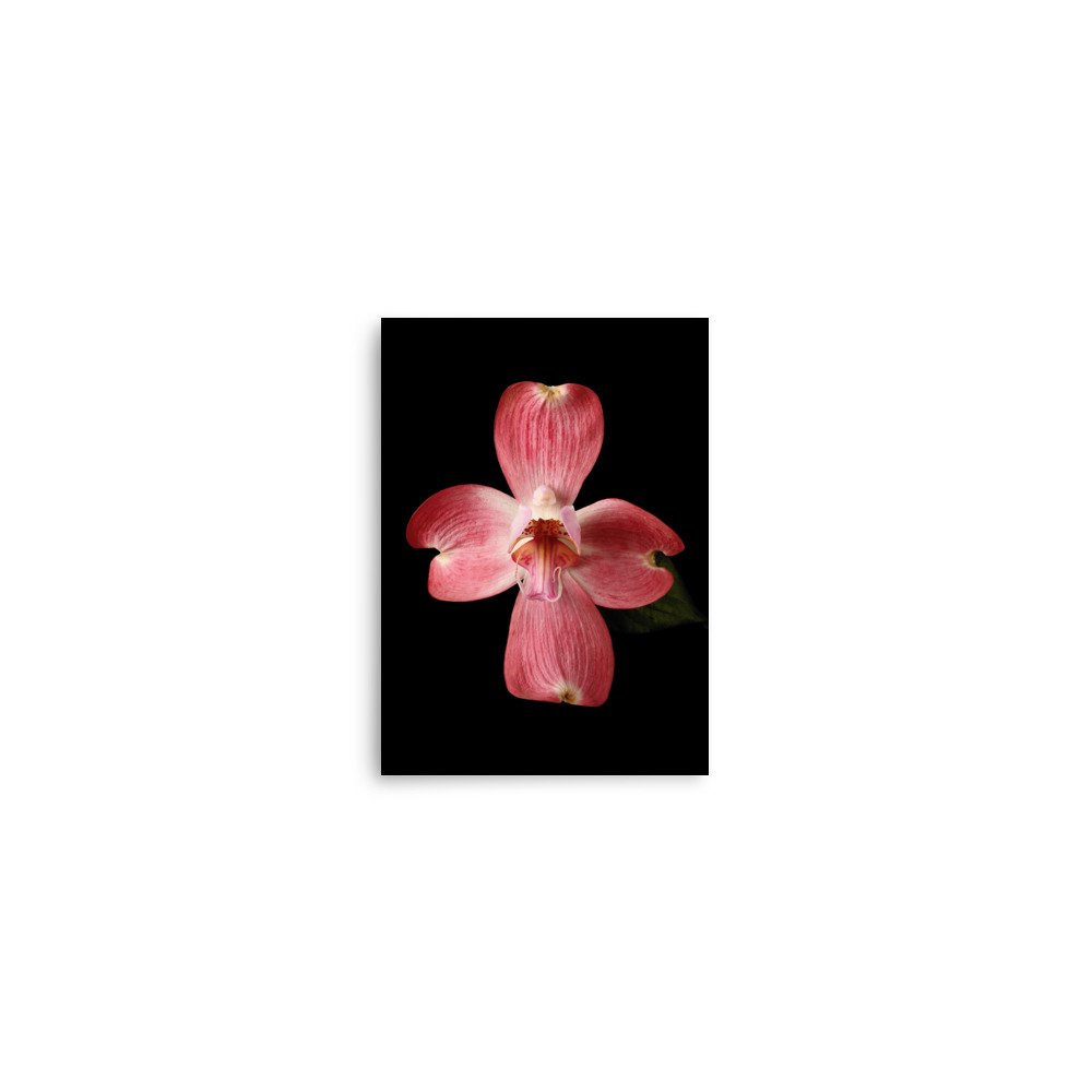 enhanced-matte-paper-poster-(in)-5x7-front-6a820785425ce.jpg