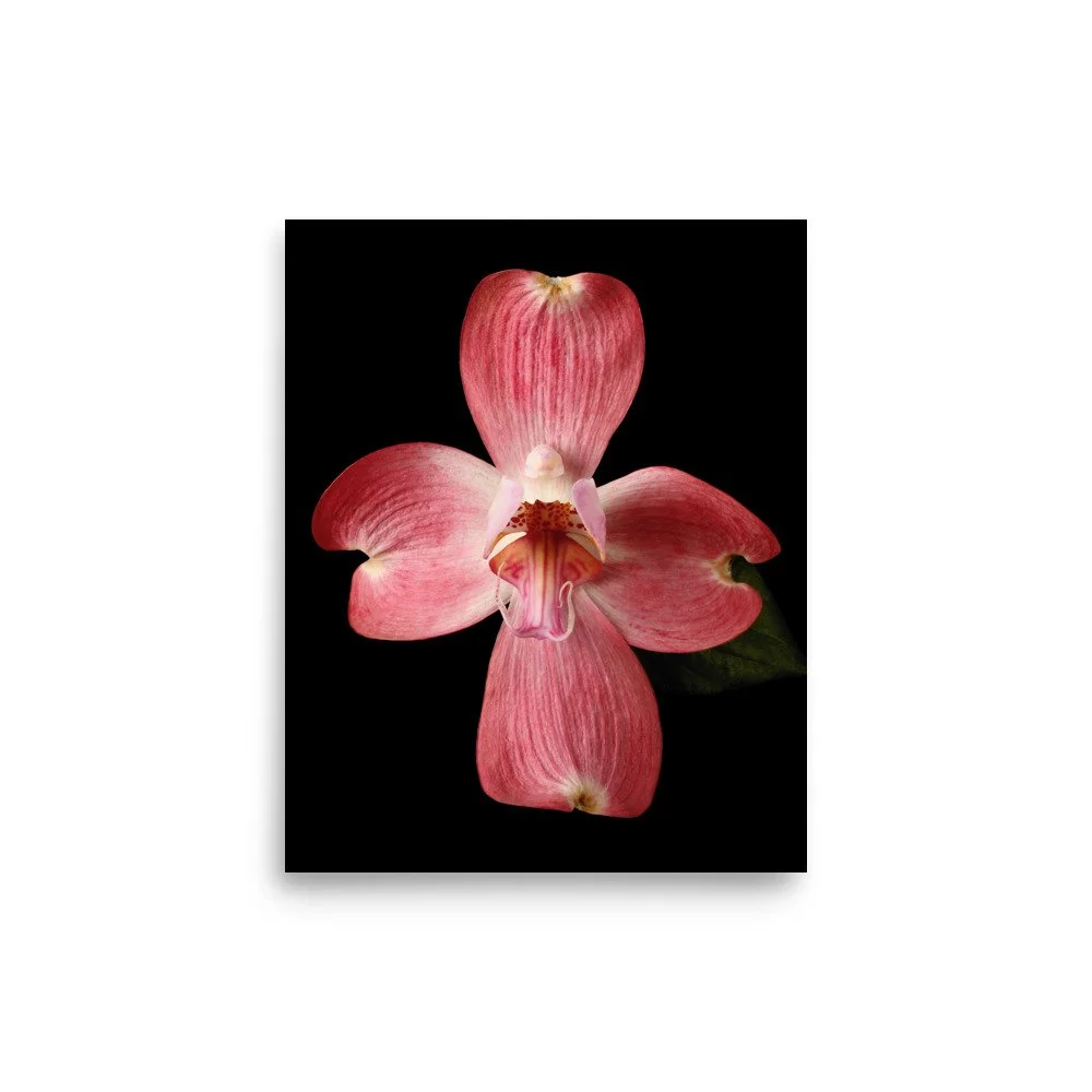 enhanced-matte-paper-poster-(in)-8x10-front-6a82078542603.jpg