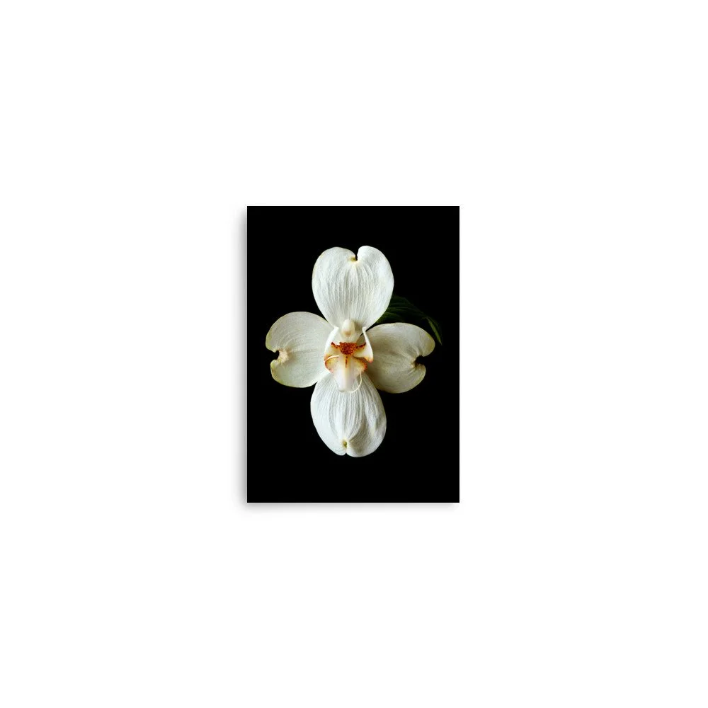 enhanced-matte-paper-poster-(in)-5x7-front-6a82090330464.jpg