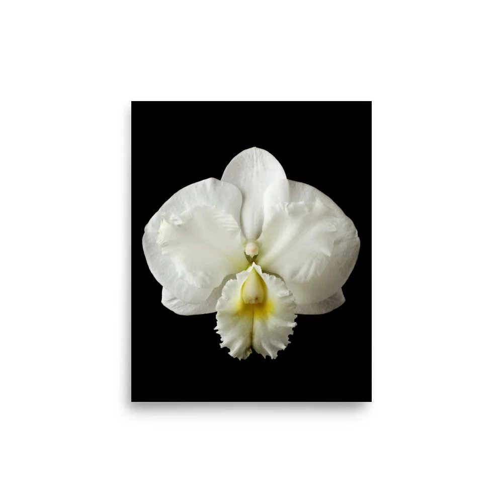 enhanced-matte-paper-poster-(in)-8x10-front-6a8222b06b77d.jpg