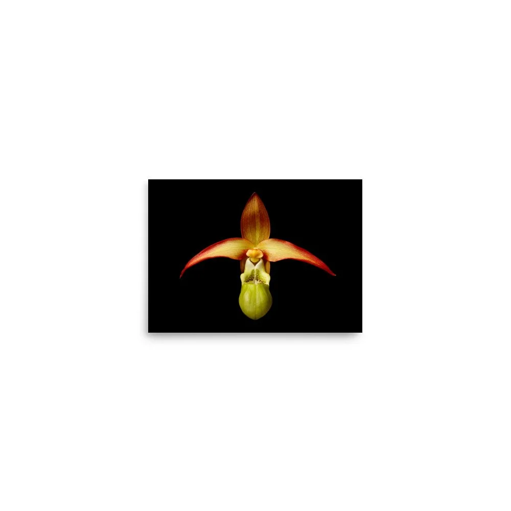 enhanced-matte-paper-poster-(in)-5x7-front-6a8232385f047.jpg