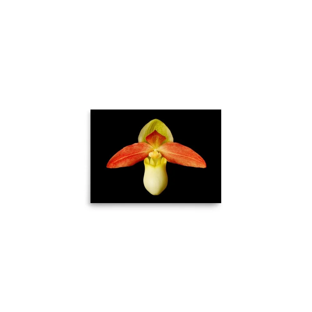 enhanced-matte-paper-poster-(in)-5x7-front-6a82349062401.jpg