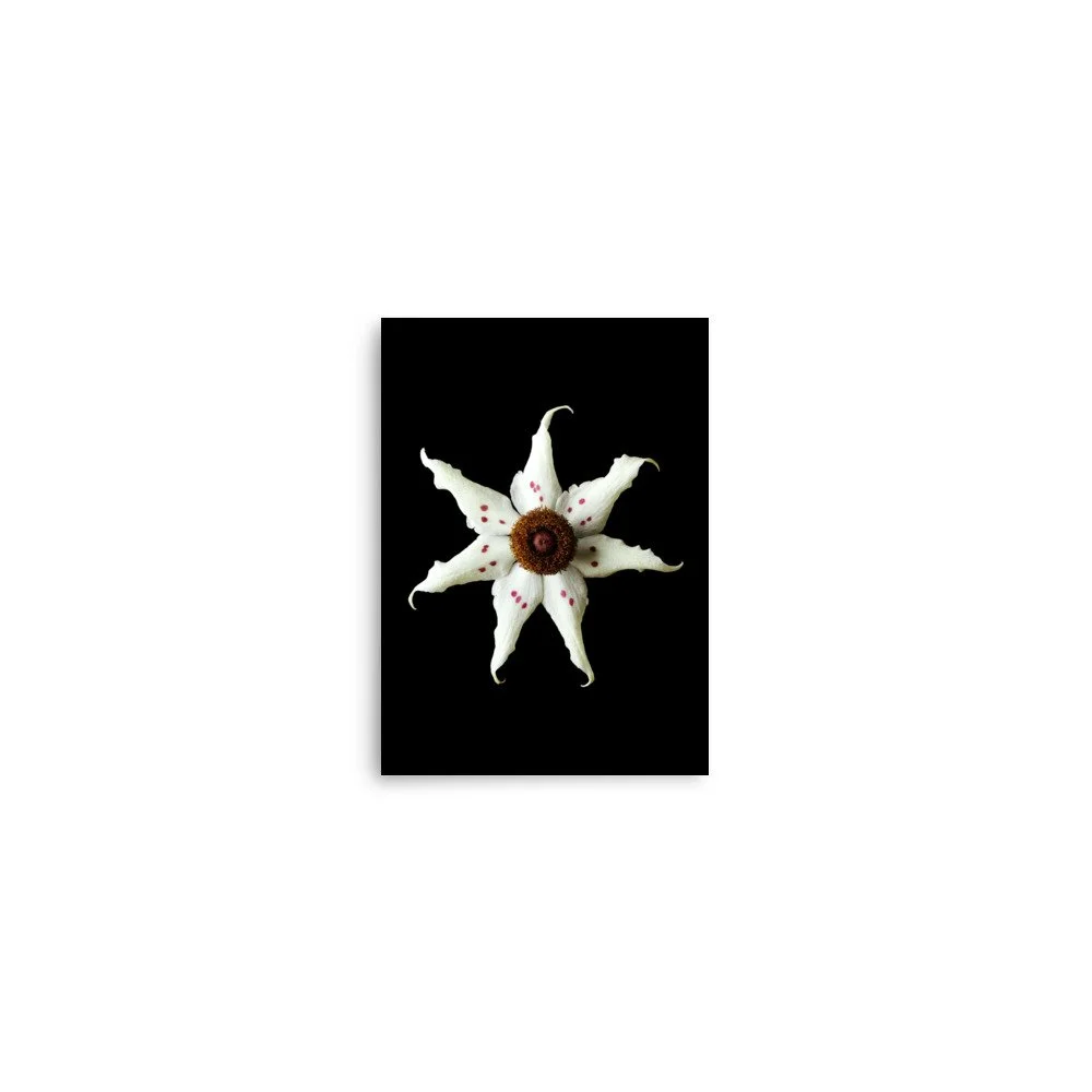 enhanced-matte-paper-poster-(in)-5x7-front-6a824be681890.jpg