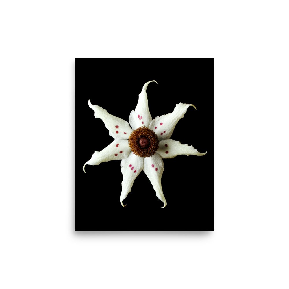 enhanced-matte-paper-poster-(in)-8x10-front-6a824be6818c6.jpg