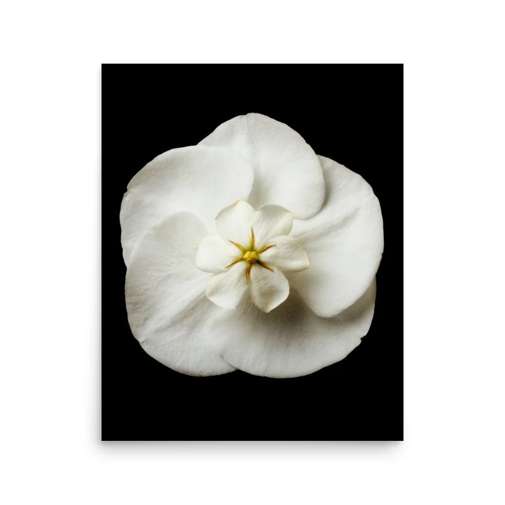 enhanced-matte-paper-poster-(in)-16x20-front-6a838eaaae07c.jpg