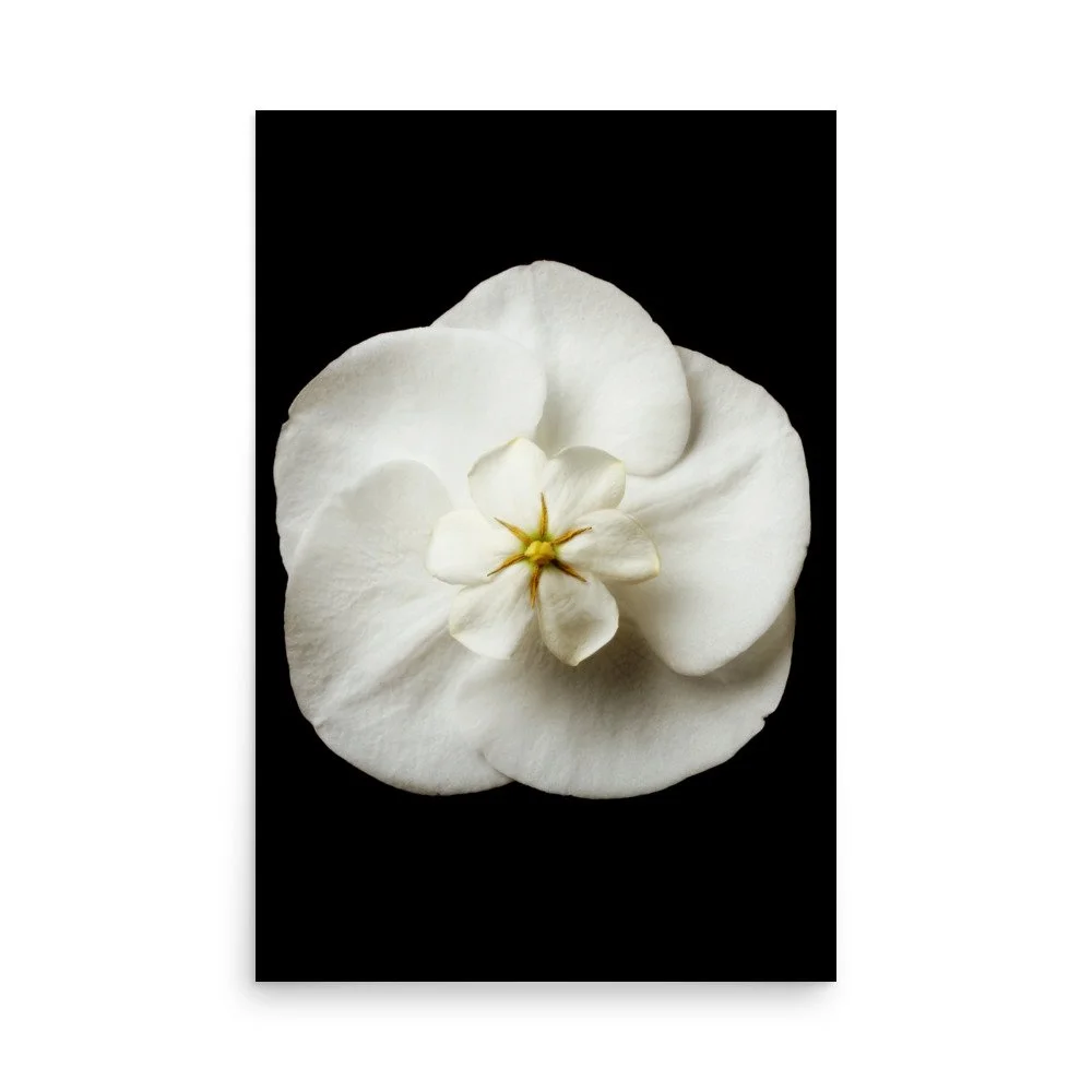 enhanced-matte-paper-poster-(in)-24x36-front-6a838eaaae95d.jpg