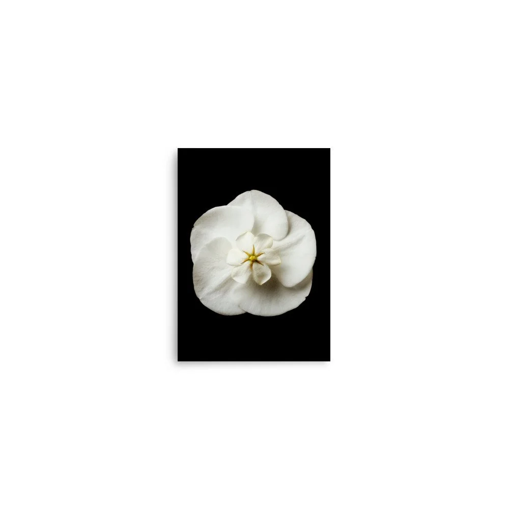 enhanced-matte-paper-poster-(in)-5x7-front-6a838eaaae9ae.jpg