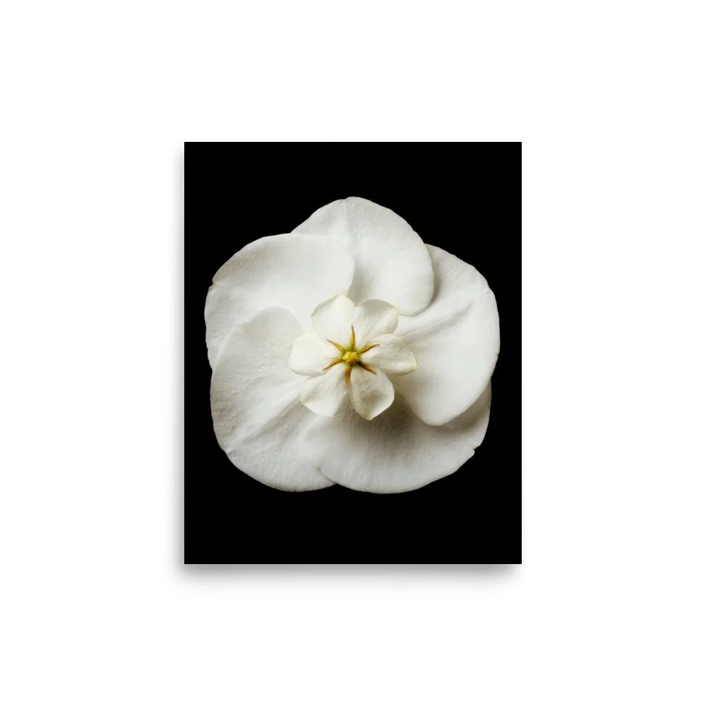 enhanced-matte-paper-poster-(in)-8x10-front-6a838eaaae9e8.jpg
