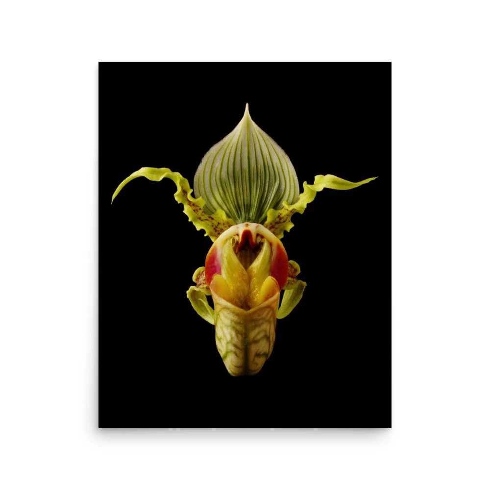 enhanced-matte-paper-poster-(in)-16x20-front-6a83a2217f481.jpg
