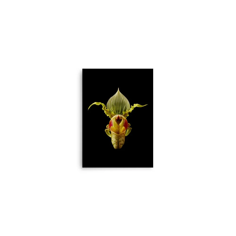 enhanced-matte-paper-poster-(in)-5x7-front-6a83a2218033b.jpg