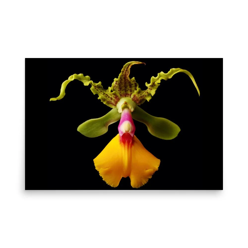 enhanced-matte-paper-poster-(in)-24x36-front-6a83b611883d3.jpg
