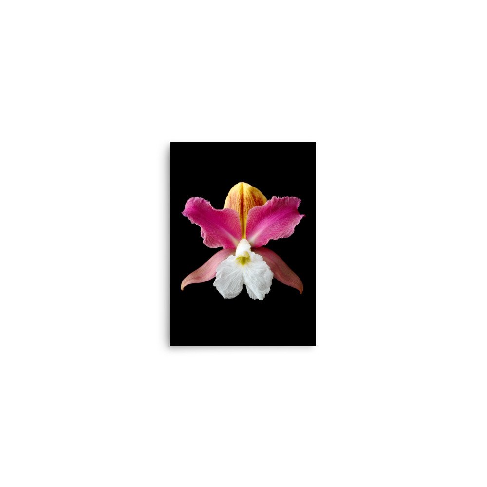 enhanced-matte-paper-poster-(in)-5x7-front-6a83b8c4740fa.jpg