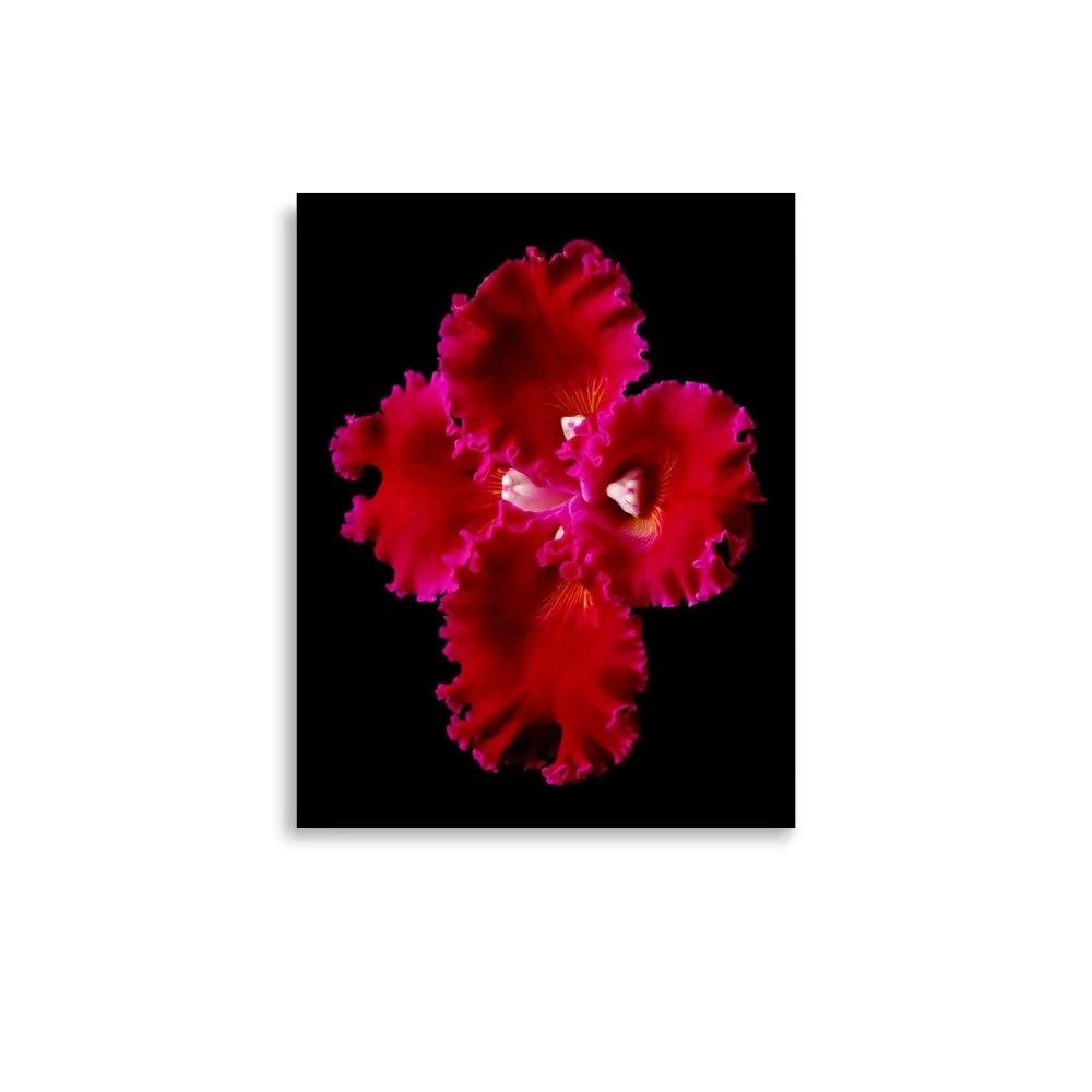enhanced-matte-paper-poster-(in)-11x14-front-6a83bfd7b479b.jpg