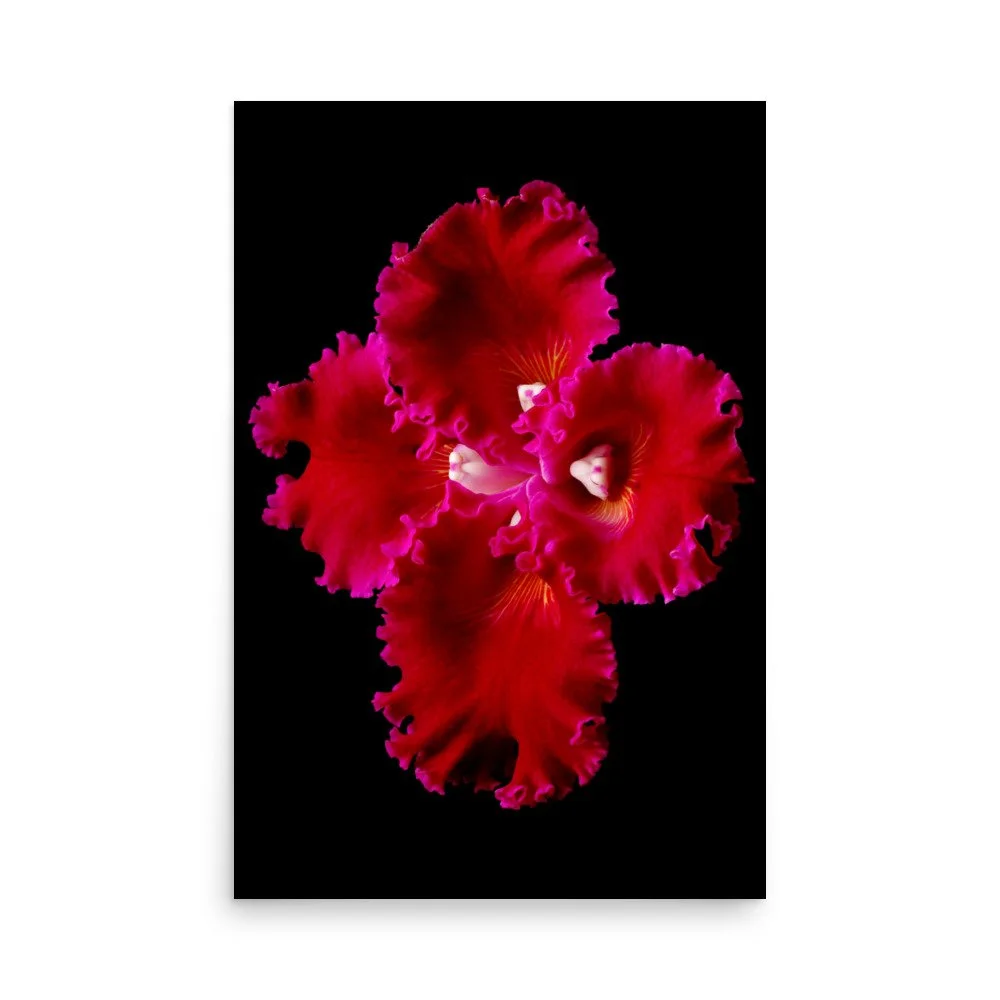 enhanced-matte-paper-poster-(in)-24x36-front-6a83bfd7b4865.jpg