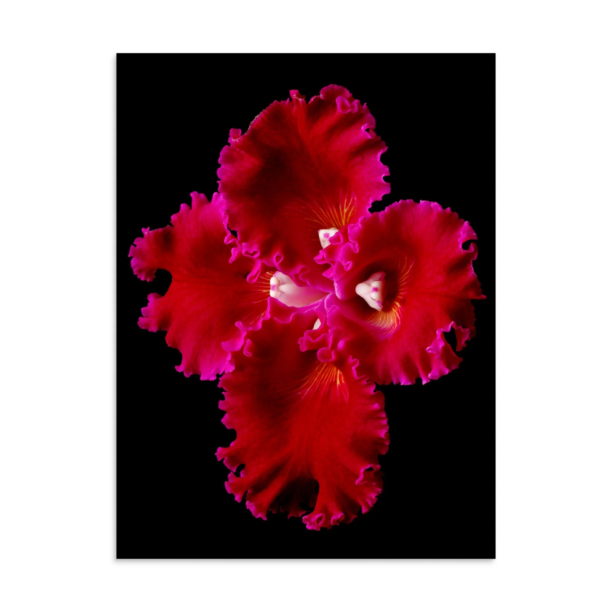 enhanced-matte-paper-poster-(in)-30x40-front-6a83bfd7b48d5.jpg