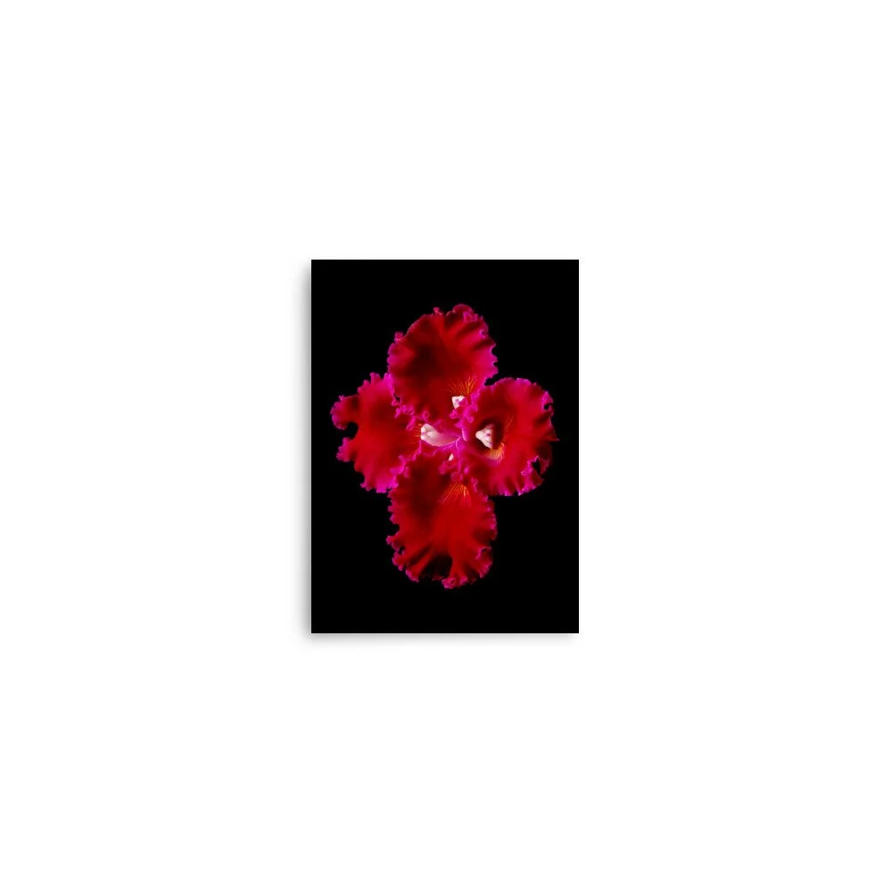 enhanced-matte-paper-poster-(in)-5x7-front-6a83bfd7b4904.jpg